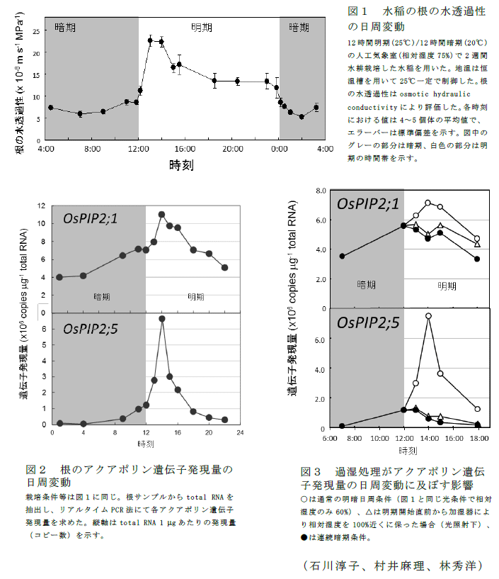 図1～3