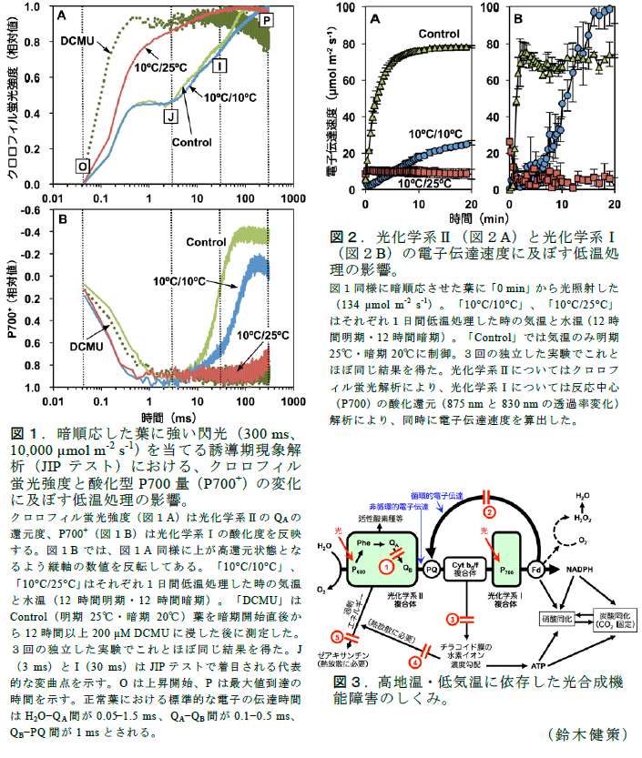 図1～3