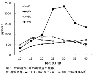 図1.甘味種コムギの糖含量の推移