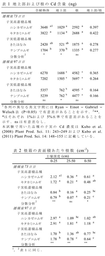 表1 地上部および根のCd含量 (ng)