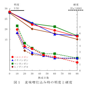 図1 麦味噌仕込み時の明度と硬度