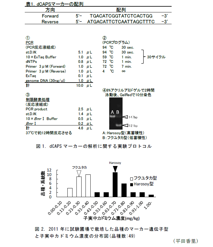 表1,図1～2