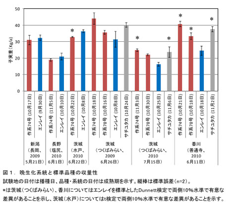 図1 晩成化系統と標準品種の収量性