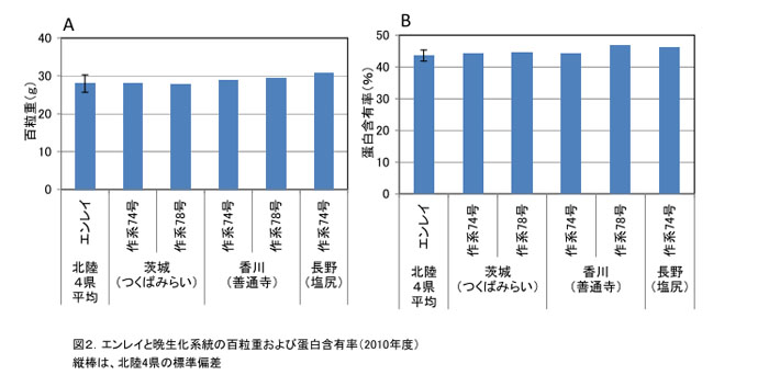 図2 エンレイと晩成化系統の百粒重および蚕白含有率