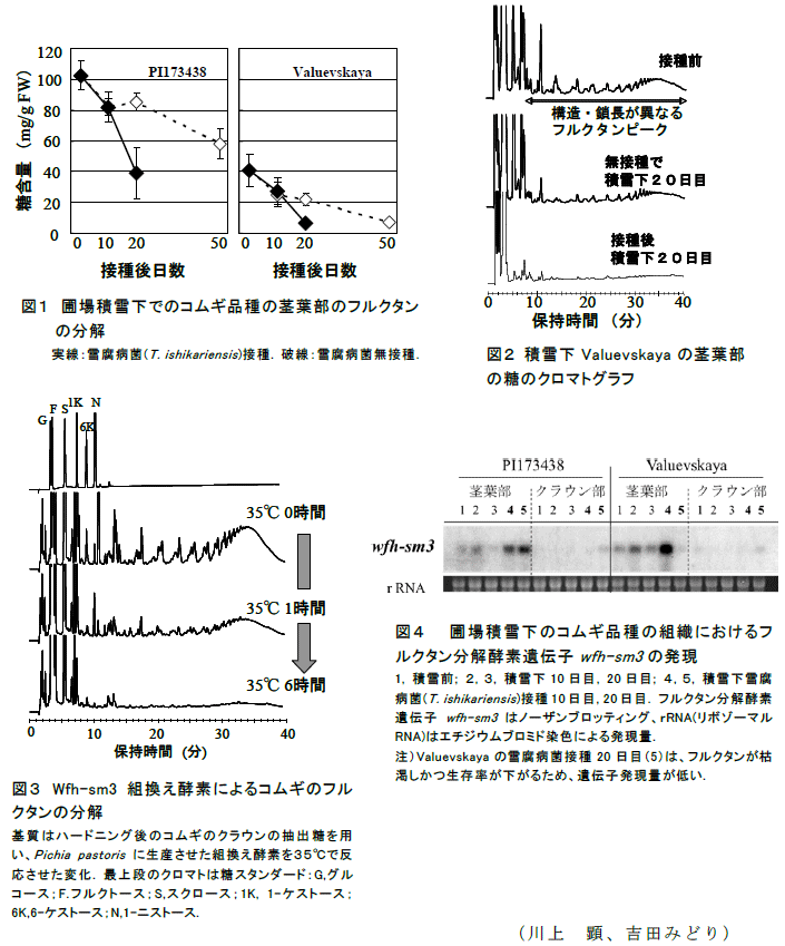 図1～4