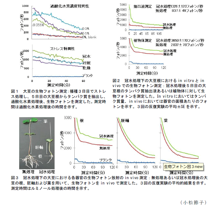 図1～3