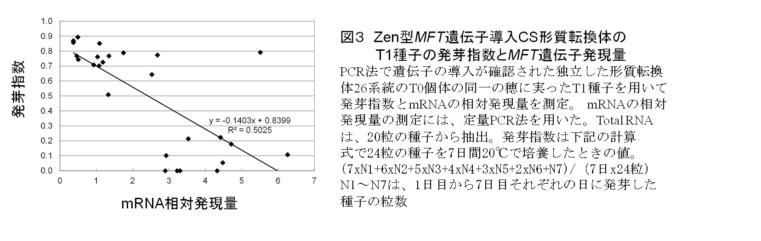 図3 Zen型MFT遺伝子導入CS形質転換体のT1種子の発芽指数とMFT遺伝子発現量