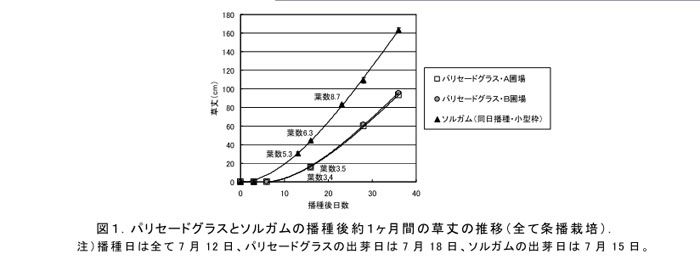 図1.パリセードグラスとソルガムの播種後約1ヶ月間の草丈の推移(全て条播栽培)