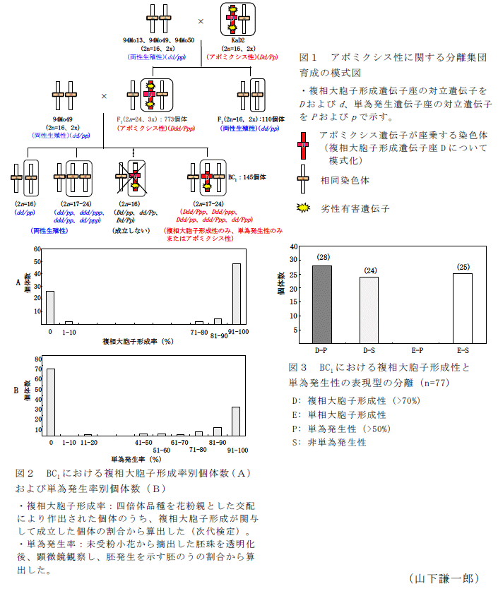 図1～3