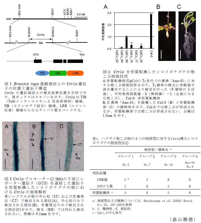 図1～3、表1