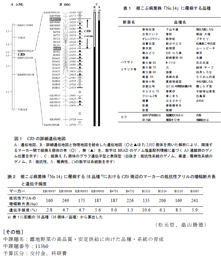 図1,表1～2