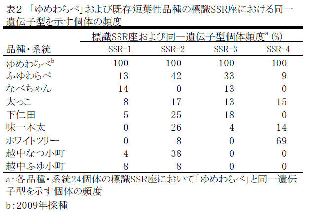 表2 「ゆめわらべ」および既存短葉性品種の標識SSR座における同一遺伝子型を示す個体の頻度