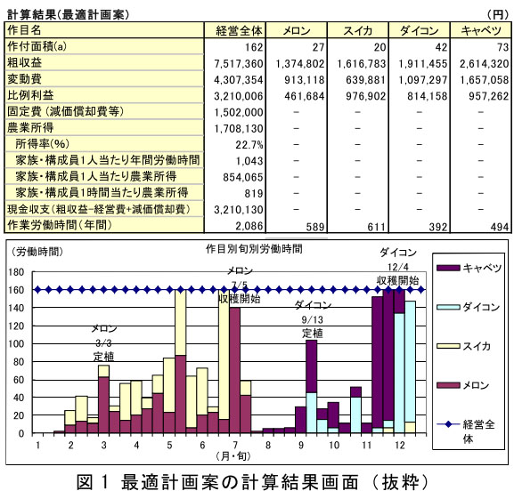 図1 最適計画案の計算結果画面(抜粋)