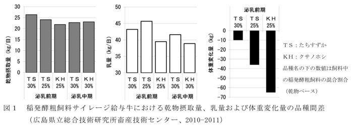 図1 稲発酵粗飼料サイレージ給与牛における乾物摂取量、乳量および体重変化量の品種間差    (広島県立総合技術研究所畜産技術センター、2010-2011)