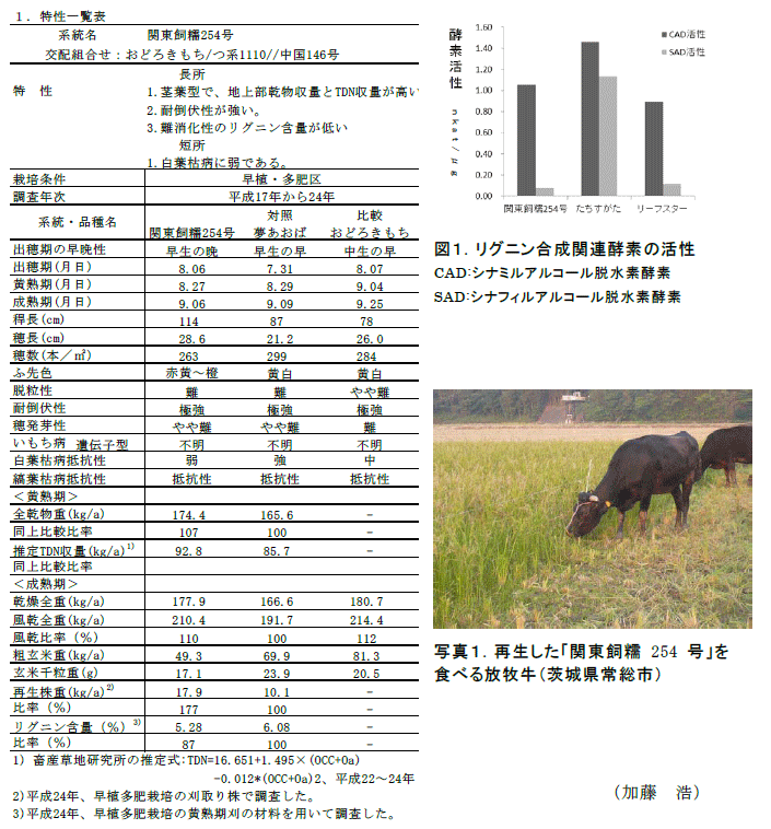 表,図1,写真1