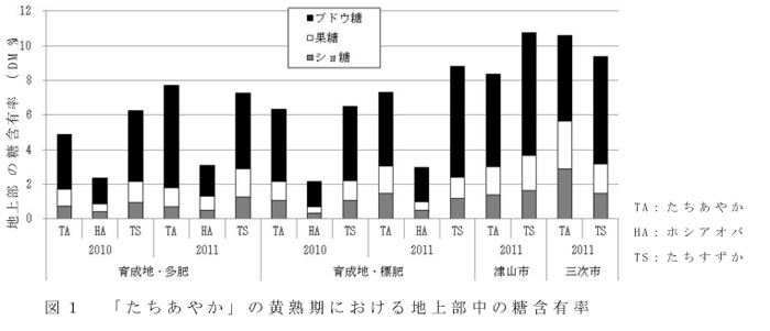 図1 「たちあやか」の黄熟期における地上部中の糖含有率