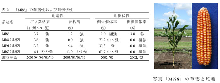 表2 「Mi88」の耐病性および耐倒伏性