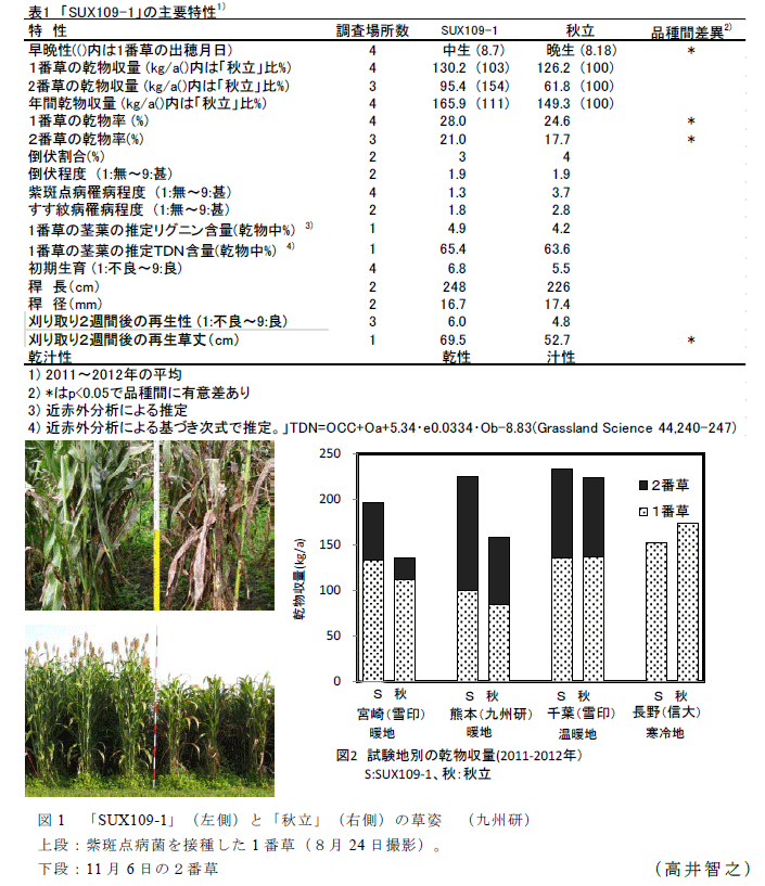 表1,図1～2