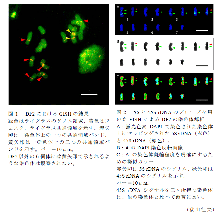 図1～2