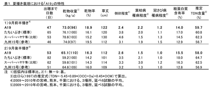 表1 夏播き栽培における「A19」の特性