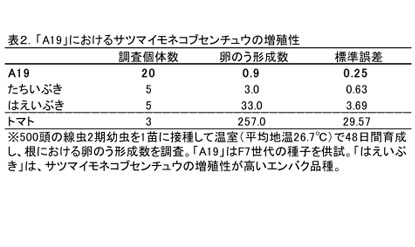 表2 「A19」におけるサツマイモネコブセンチュウの増殖性