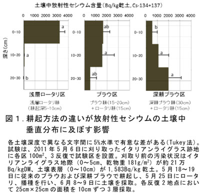 図1 耕起方法の違いが放射性セシウムの土壌中垂直分布に及ぼす影響