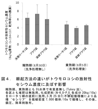 図4 耕起方法の違いがトウモロコシの放射性セシウム濃度に及ぼす影響