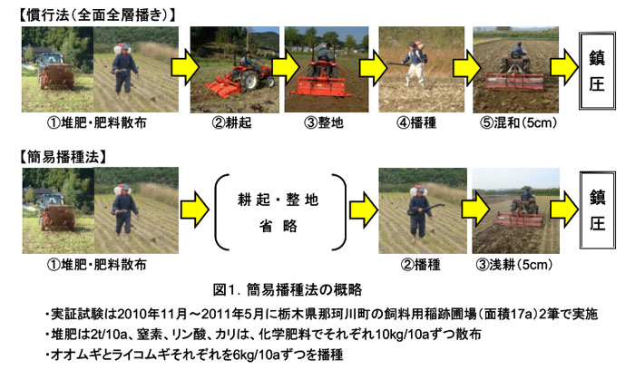 図1 簡易播種法の概略