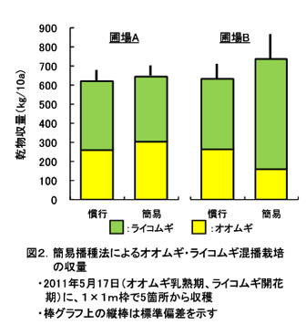 図2 簡易播種法によるおおむぎ・らいむぎ混播栽培の収量