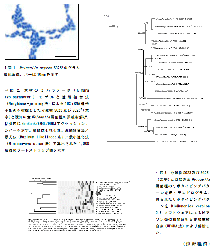 図1~3