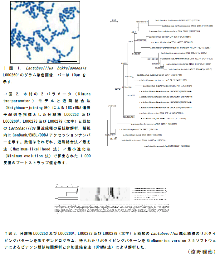 図1～3