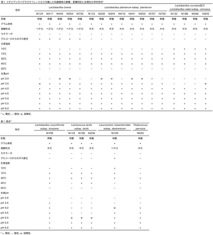 表1 イタリアンライグラスサイレージより分離した乳酸菌株の菌種・亜種同定と生理生化学的性状