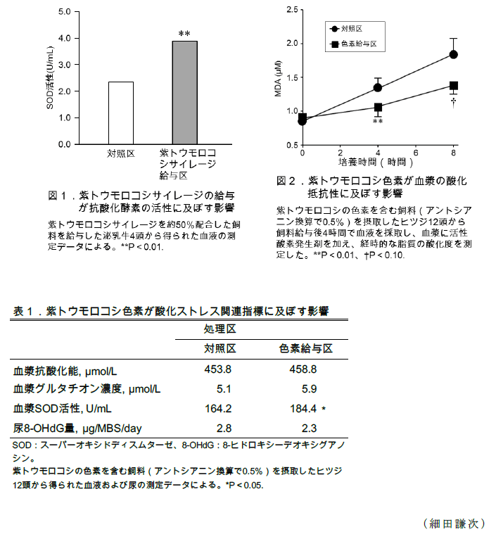 図1~2,表1