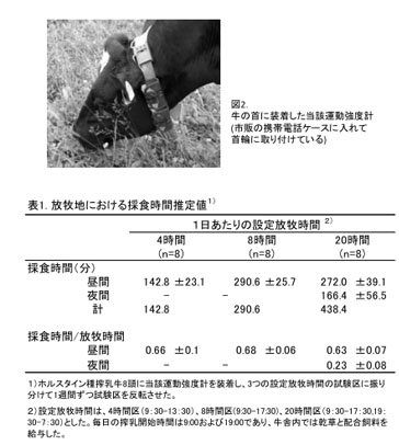 表1 放牧地における採食時間推定値