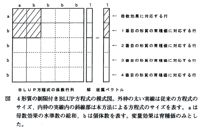 図 4形質の制限付きBLUP方程式の模式図