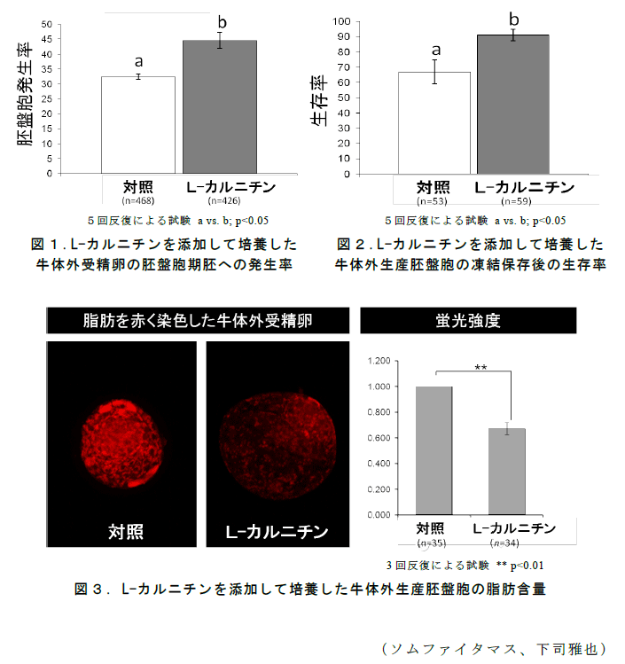 図1～3