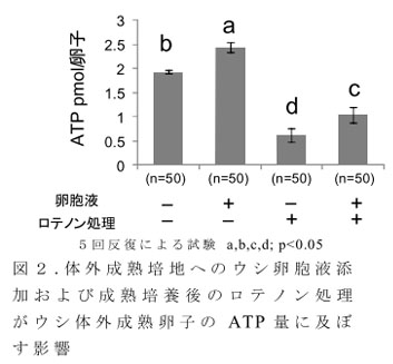 図2.体外成熟培地へのウシ卵胞液添加および成熟培養後のロテノン処理がウシ体外成熟卵子のATP量に及ぼす影響