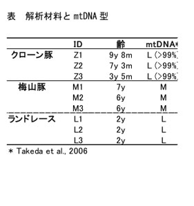 表 解析材料とmtDNA型