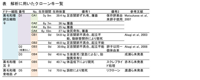 表 解析に用いたクローン牛一覧