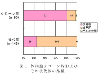 図1 体細胞クローン豚およびその後代豚の品種