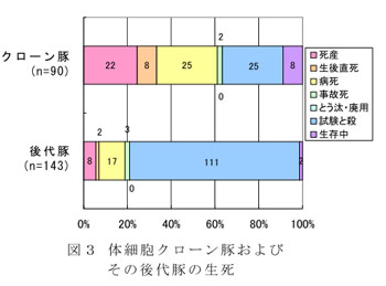 図3 体細胞クローン豚およびその後代豚の生死