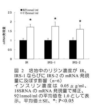 図2 培地中のリジン濃度がIR、IRS-1ならびにIRS-2のmRNA発現量に及ぼす影響(n=6)
