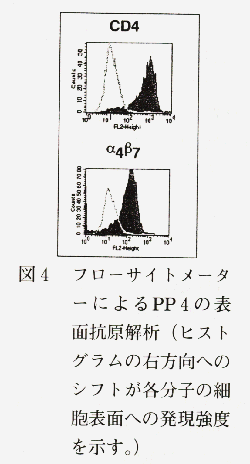 図4 フローサイトメーターによるPP4の表面抗原解析