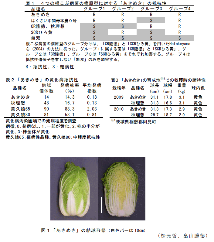 図1,表1～3