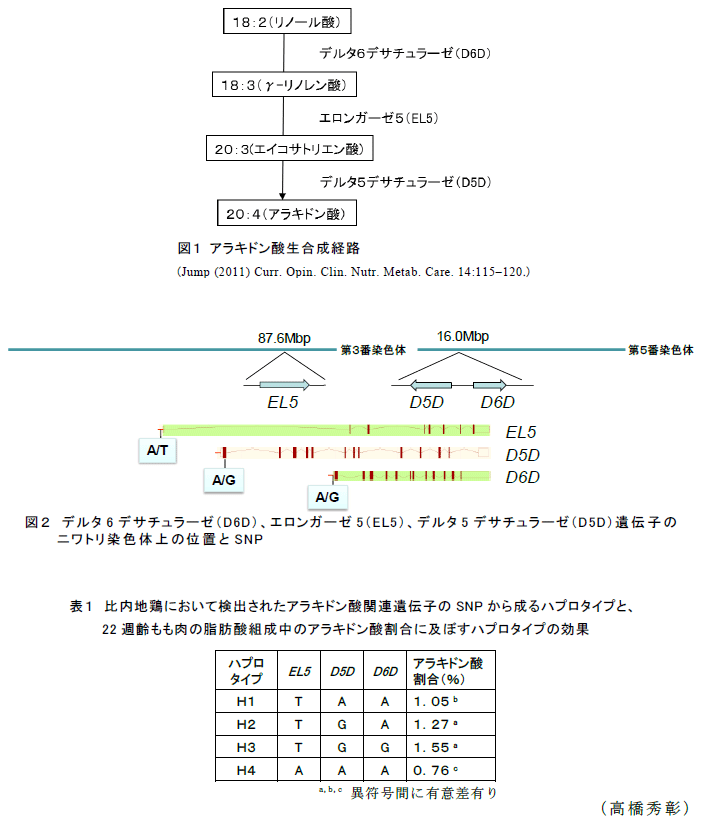 図1～2,表1