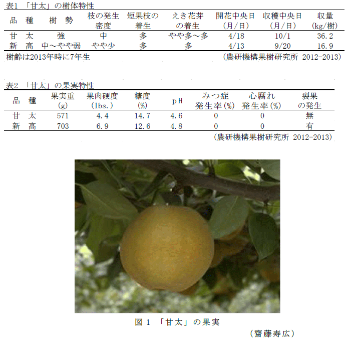 図1,表1～2