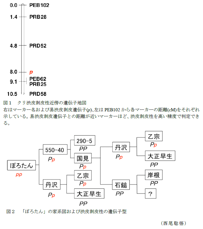 図1～2