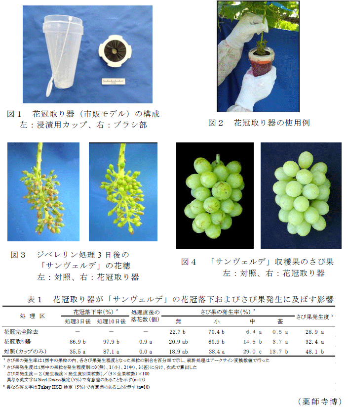 図1～4,表1