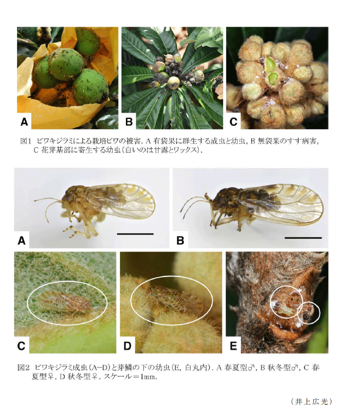 図1～2