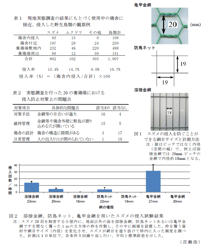 シンセイ 強力防鳥網 300坪 18x54m 青 30mm目合い - 3